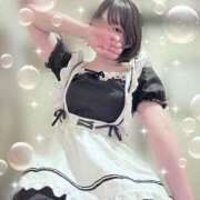 ヒメ日記 2026/03/29 07:54 投稿 うた しゃんぜりぜ