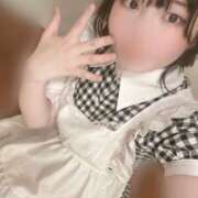 ヒメ日記 2026/04/01 08:30 投稿 うた しゃんぜりぜ