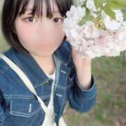 ヒメ日記 2026/04/13 17:02 投稿 うた しゃんぜりぜ