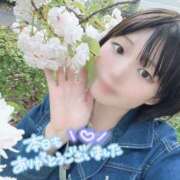 ヒメ日記 2026/04/14 20:08 投稿 うた しゃんぜりぜ