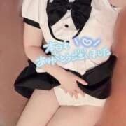 ヒメ日記 2026/04/17 20:29 投稿 うた しゃんぜりぜ