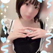 ヒメ日記 2026/04/29 17:02 投稿 うた しゃんぜりぜ