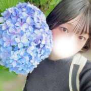 ヒメ日記 2026/06/08 12:06 投稿 うた しゃんぜりぜ