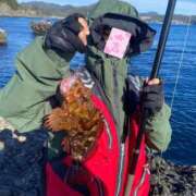 ヒメ日記 2026/03/20 19:05 投稿 伊藤ちよ子 五十路マダム 沼津店(カサブランカグループ)