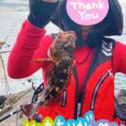 ヒメ日記 2026/03/31 14:53 投稿 伊藤ちよ子 五十路マダム 沼津店(カサブランカグループ)