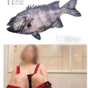 ヒメ日記 2026/04/04 09:27 投稿 伊藤ちよ子 五十路マダム 沼津店(カサブランカグループ)