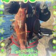 ヒメ日記 2026/04/06 19:45 投稿 伊藤ちよ子 五十路マダム 沼津店(カサブランカグループ)