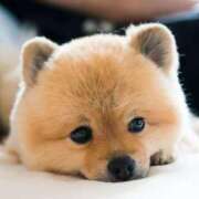 黒木　かな 久しぶり 赤と黒～女と男の秘密倶楽部～