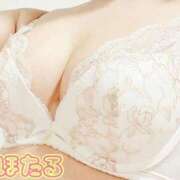 ヒメ日記 2026/02/27 17:02 投稿 久保ほたる 池袋㊙エステ～フル勃起～