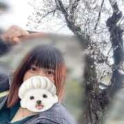 ヒメ日記 2026/03/31 16:52 投稿 くれは スピードエコ日本橋店