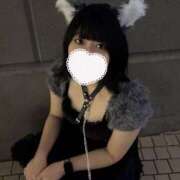 ヒメ日記 2026/04/05 01:09 投稿 くれは スピードエコ日本橋店