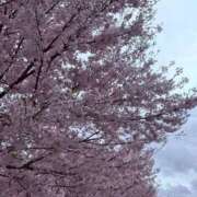 ヒメ日記 2026/04/17 02:50 投稿 りつ マリアージュ熊谷