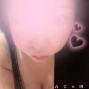 ヒメ日記 2026/03/17 08:46 投稿 西田(にしだ) 人妻出逢い会 百合の園 品川店