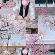 ヒメ日記 2026/04/04 21:06 投稿 西田(にしだ) 人妻出逢い会 百合の園 品川店