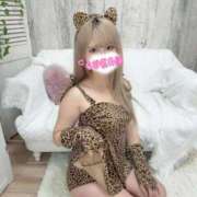 ヒメ日記 2026/02/24 00:58 投稿 くらん Okini所沢