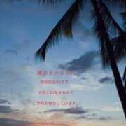 ヒメ日記 2026/03/03 13:29 投稿 たまき 大阪和泉ちゃんこ