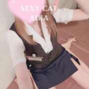 ヒメ日記 2026/02/28 14:46 投稿 愛内あいか セクシーキャット 神田店