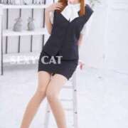 ヒメ日記 2026/03/19 18:31 投稿 愛内あいか セクシーキャット 神田店