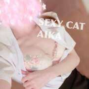 ヒメ日記 2026/03/22 18:35 投稿 愛内あいか セクシーキャット 神田店