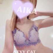 ヒメ日記 2026/04/11 14:01 投稿 愛内あいか セクシーキャット 神田店