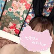 みその 本日も【お礼】 逆バニーメンズエステ とろとろオイルSPA