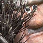 ヒメ日記 2026/03/14 21:34 投稿 涼宮りょう デリス新宿