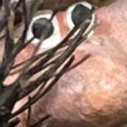 ヒメ日記 2026/03/14 21:39 投稿 涼宮りょう デリス新宿