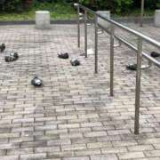 ヒメ日記 2026/03/28 16:04 投稿 涼宮りょう デリス新宿