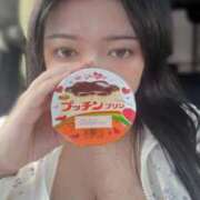 あんばー おはぷりん🍮🩷 good morning! 名古屋名駅・栄サンキュー