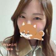 ヒメ日記 2026/03/23 16:46 投稿 あかね マダムの品格