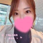 ヒメ日記 2026/04/03 10:24 投稿 あかね マダムの品格