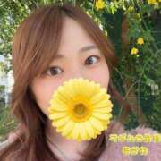 ヒメ日記 2026/04/09 17:07 投稿 あかね マダムの品格