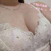 ヒメ日記 2026/04/09 22:25 投稿 あかね マダムの品格