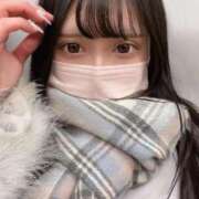 ヒメ日記 2026/02/24 10:26 投稿 アンナ ファーストレディー