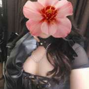 ヒメ日記 2026/03/08 18:09 投稿 りこ MINT（ミント）