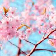 むつみ 4月🌸 妻天 尼崎店