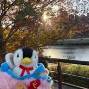 ヒメ日記 2026/02/25 00:31 投稿 ひめな 極楽城(ゴクラクジョウ)