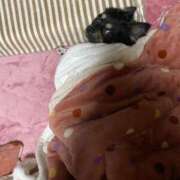 ネム おはよう? ラブコレクション