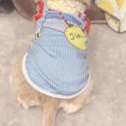 ヒメ日記 2026/02/26 21:46 投稿 ネム ラブコレクション