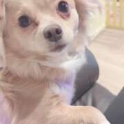 ヒメ日記 2026/03/03 21:01 投稿 ネム ラブコレクション