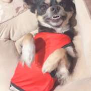 ヒメ日記 2026/03/03 21:31 投稿 ネム ラブコレクション