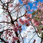 ゆら お願い🥹💗 つまみぐいイケちゃいますよ！