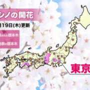 ヒメ日記 2026/03/19 23:13 投稿 まなみ 美熟女専科白夜