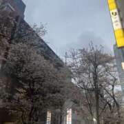 ヒメ日記 2026/04/02 19:00 投稿 まなみ 美熟女専科白夜