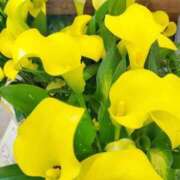 ヒメ日記 2026/02/23 23:12 投稿 まゆみ 熟女総本店