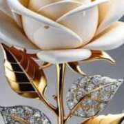 ヒメ日記 2026/03/12 10:55 投稿 まゆみ 熟女総本店