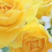 ヒメ日記 2026/03/14 06:52 投稿 まゆみ 熟女総本店