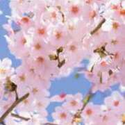 ヒメ日記 2026/04/06 10:52 投稿 まゆみ 熟女総本店