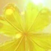 ヒメ日記 2026/04/15 19:12 投稿 まゆみ 熟女総本店