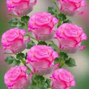 ヒメ日記 2026/04/22 21:52 投稿 まゆみ 熟女総本店